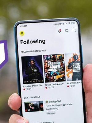 Twitch – Seguidores – Mix Global